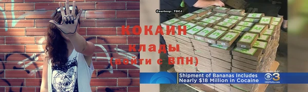сатива Абаза