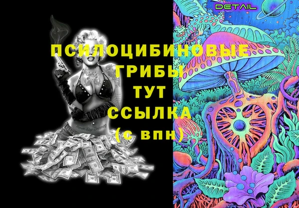 гашик Алексеевка