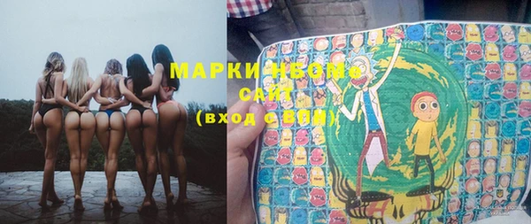 гашик Алексеевка